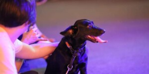 Фото: Мања Холодков